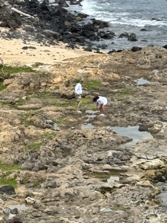 Phil & Ger Shelling.png