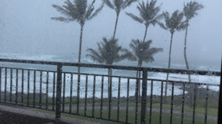 Stormy Weather Small.png