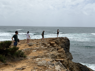 Lizzie on the Point.png