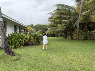 Gillin Beach House 2.png