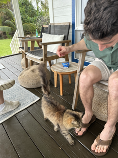 Andrew and the Cat.png