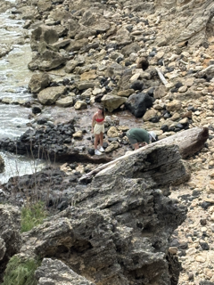 Andrew & Ashley Shelling.png