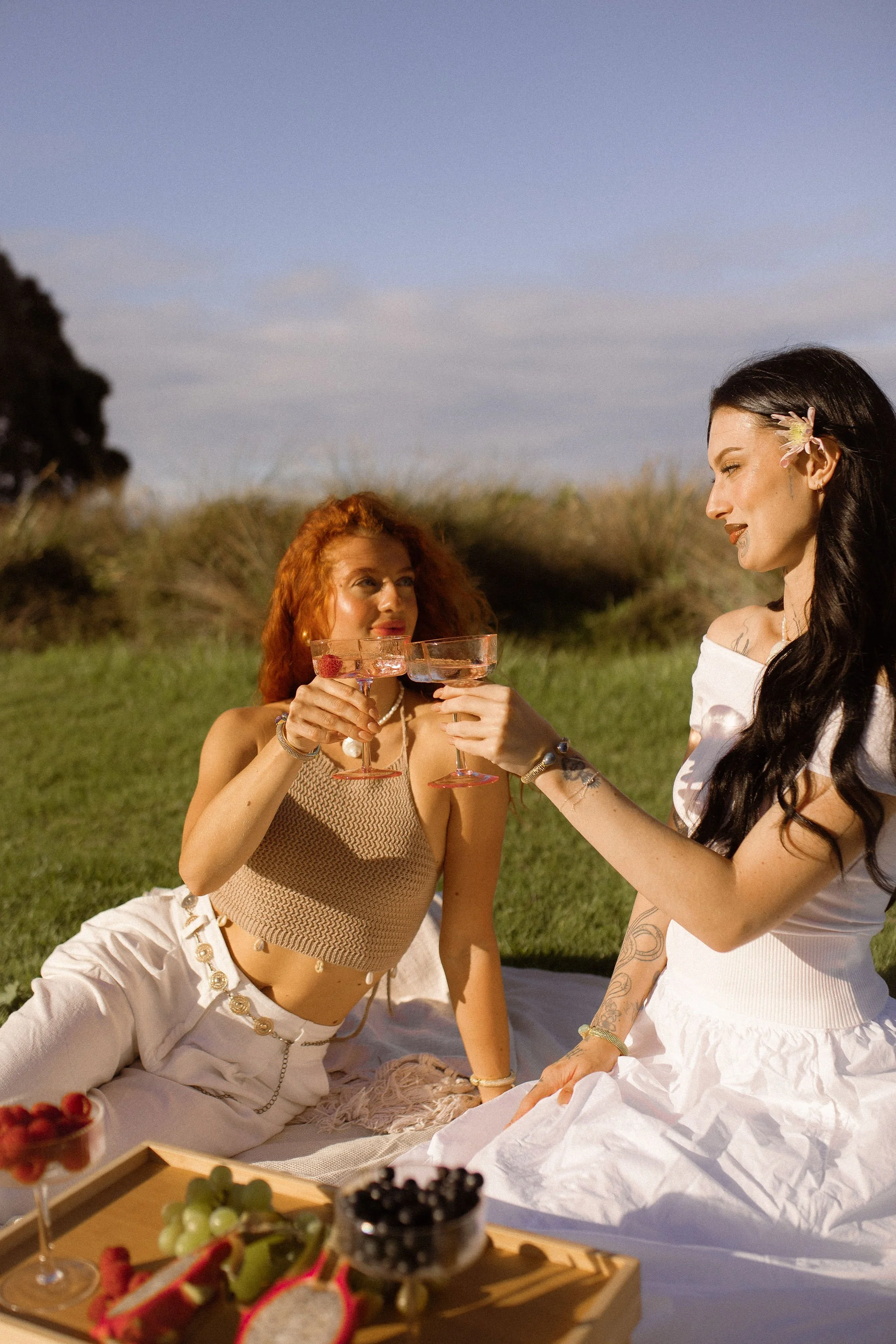 Two women celebrating outdoors with drinks, sitting on blankets, with a background of grassy field and sky, surrounded by snacks and fruits.