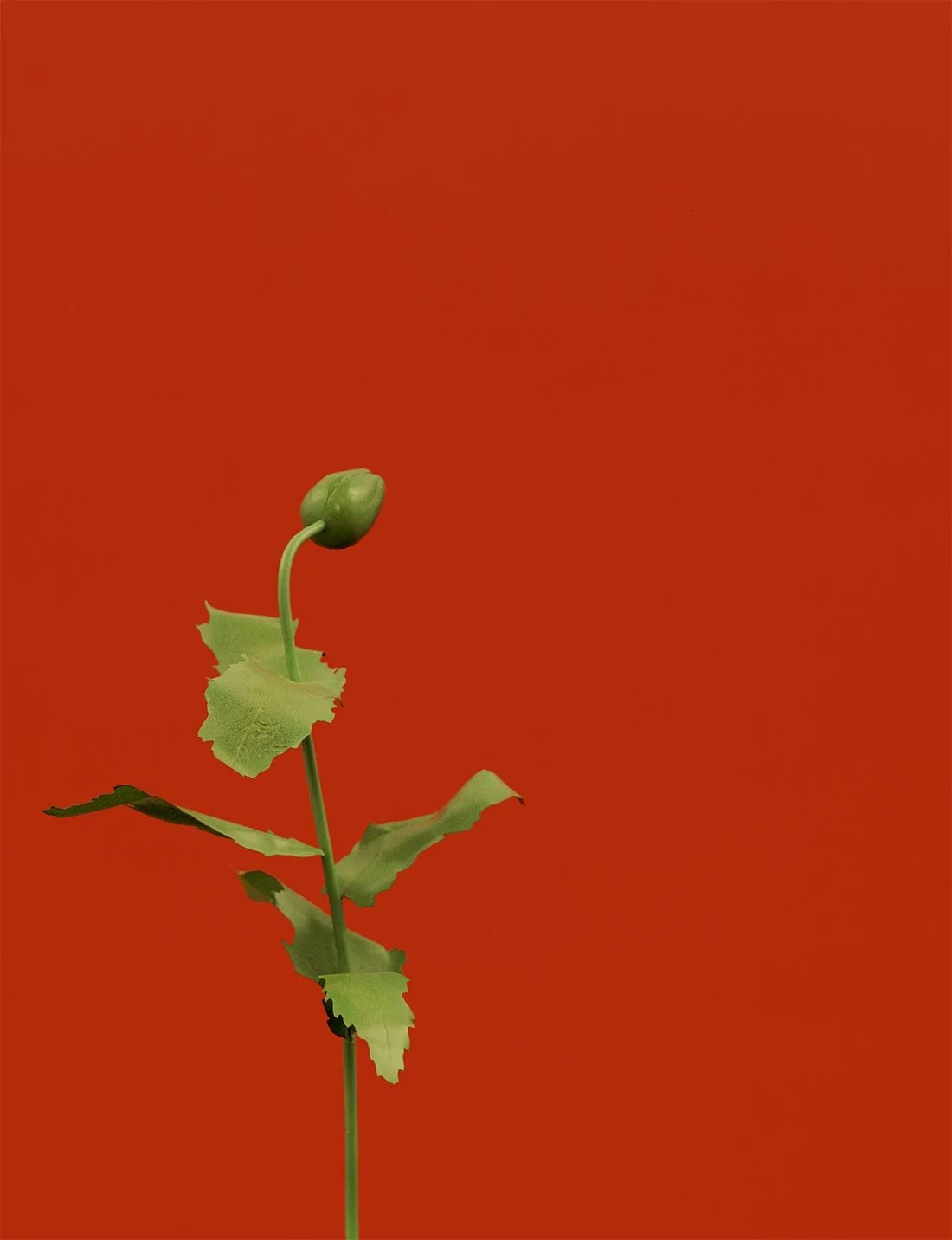 et galerie presents Modern Light, an exhibition showcasing three women artists working today in Southern California.