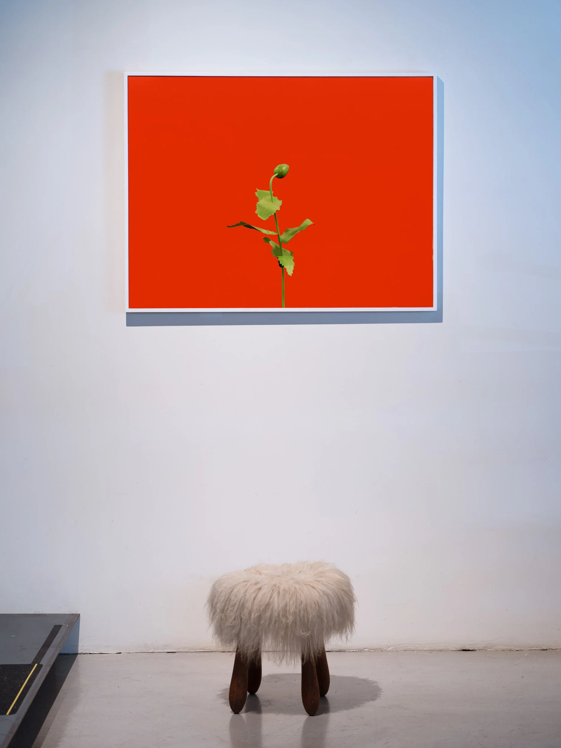 ET_GALLERY_MODERN_LIGHT_IMG4827.jpg