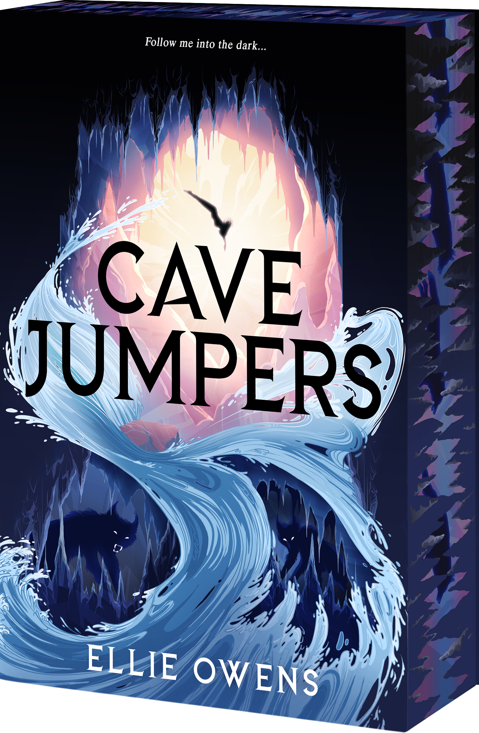 CaveJumpers_3D_TP_Deluxe_ONLINEONLY (1) (1).png