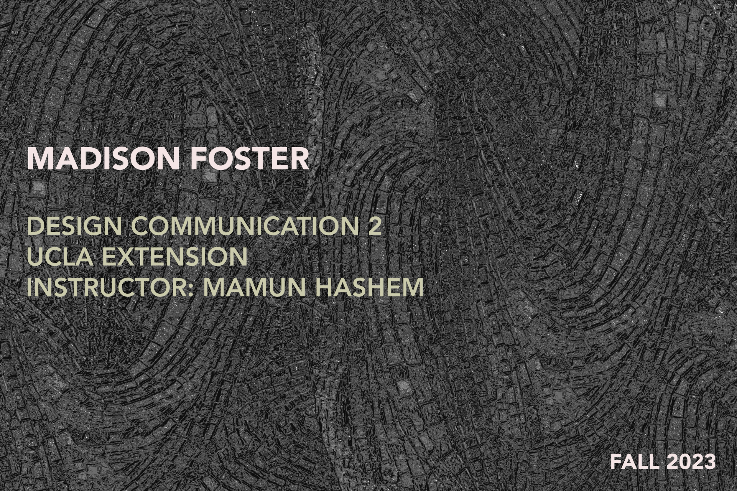 Madison Foster2_DC2_Final Portfolio_Page_01.png