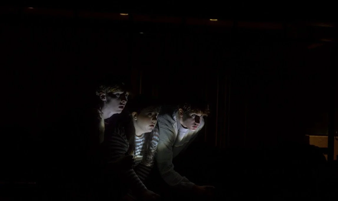 Peter and The Starcatcher (Lord Aster) 