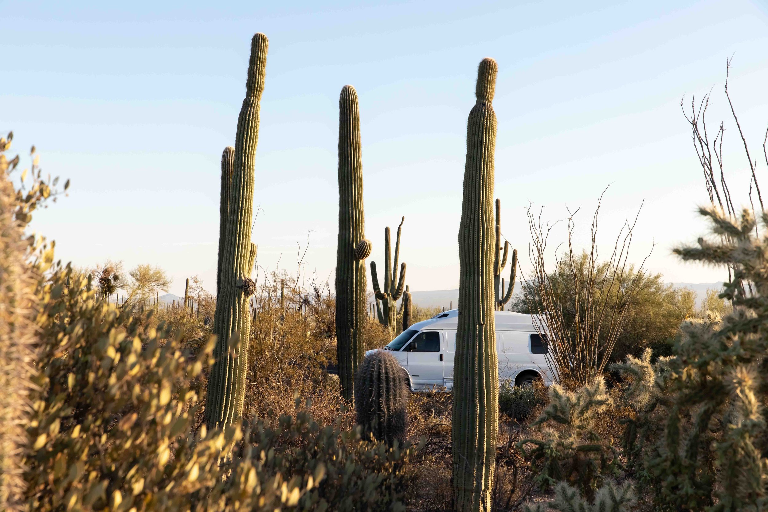 15A-saguaro-national-park-dynamitestudioinc com-dynamite-studio-inc-14.jpg