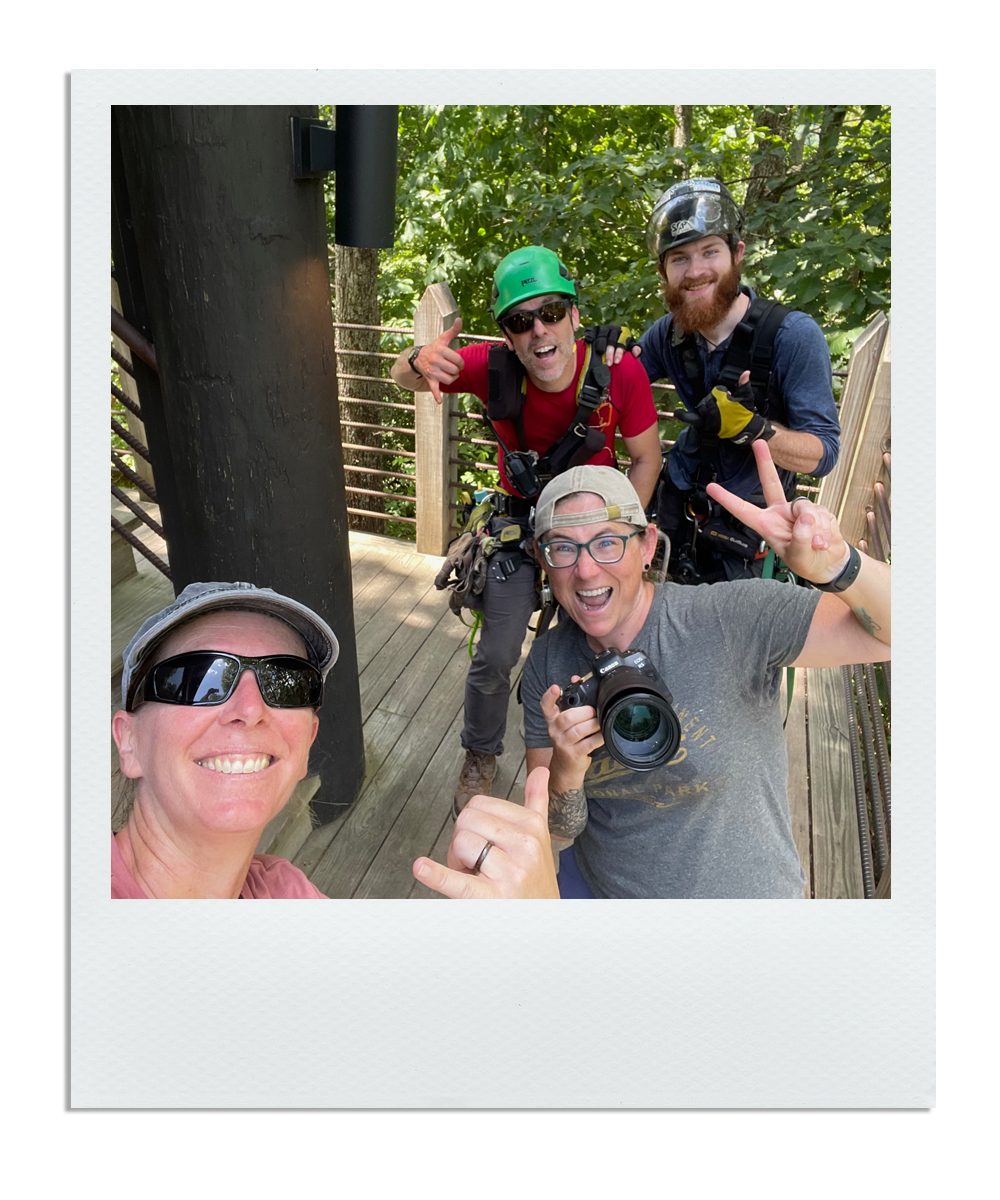 Group of four smiling people taking a selfie on a wooden treehouse platform surrounded by green trees, some wearing helmets and harnesses, indicating they are on a ziplining or adventure course.