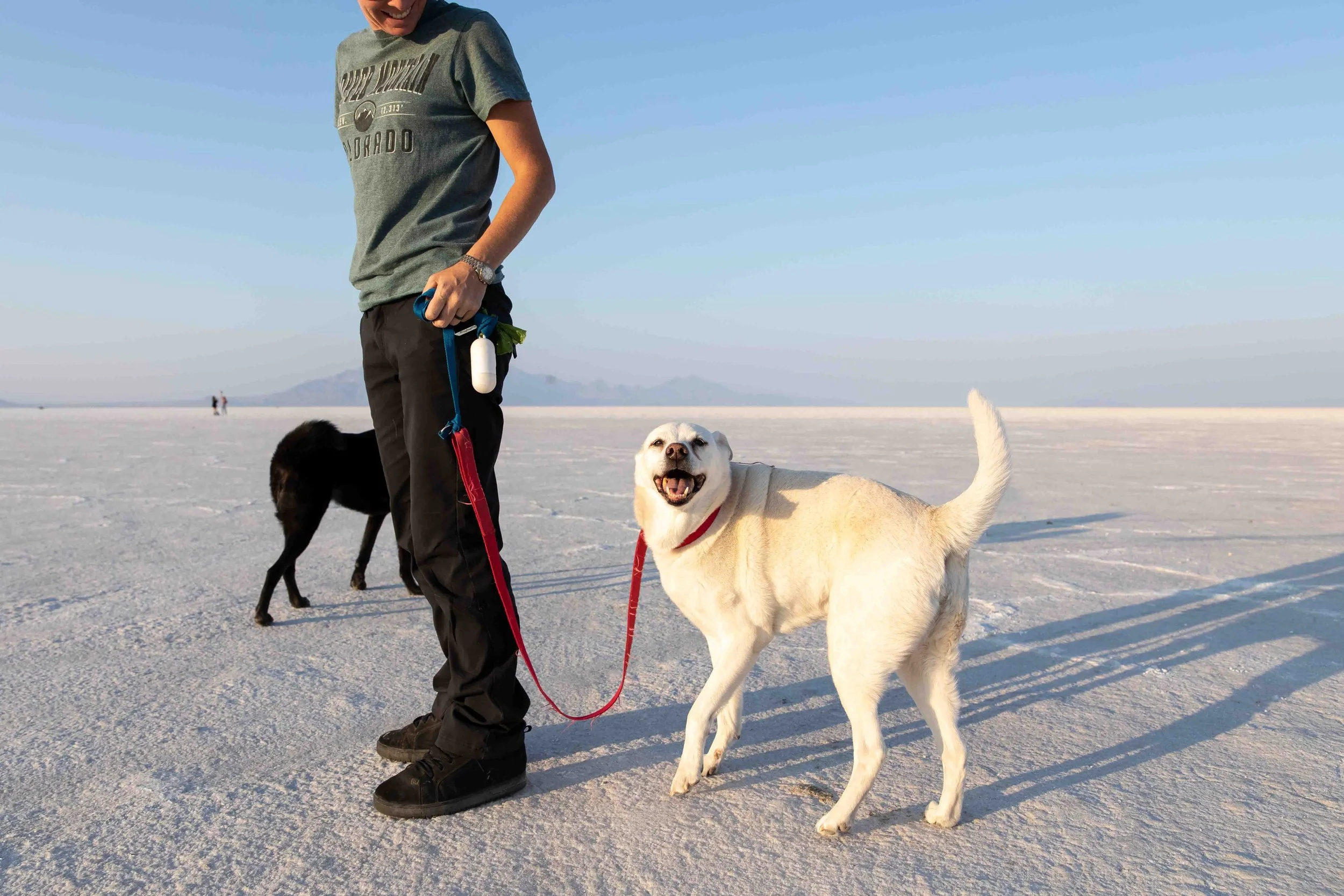 A person walking on a white salt flat, holding the leashes of two dogs, one white and one black, with mountains in the background and the sky clear.
