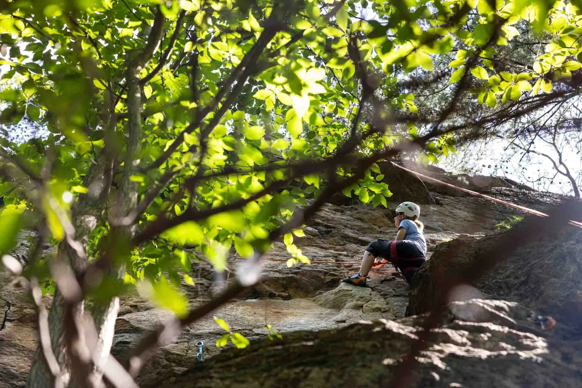 A person wearing a helmet and climbing harness is rock climbing on a steep rock face outdoors, partially obscured by green tree leaves.