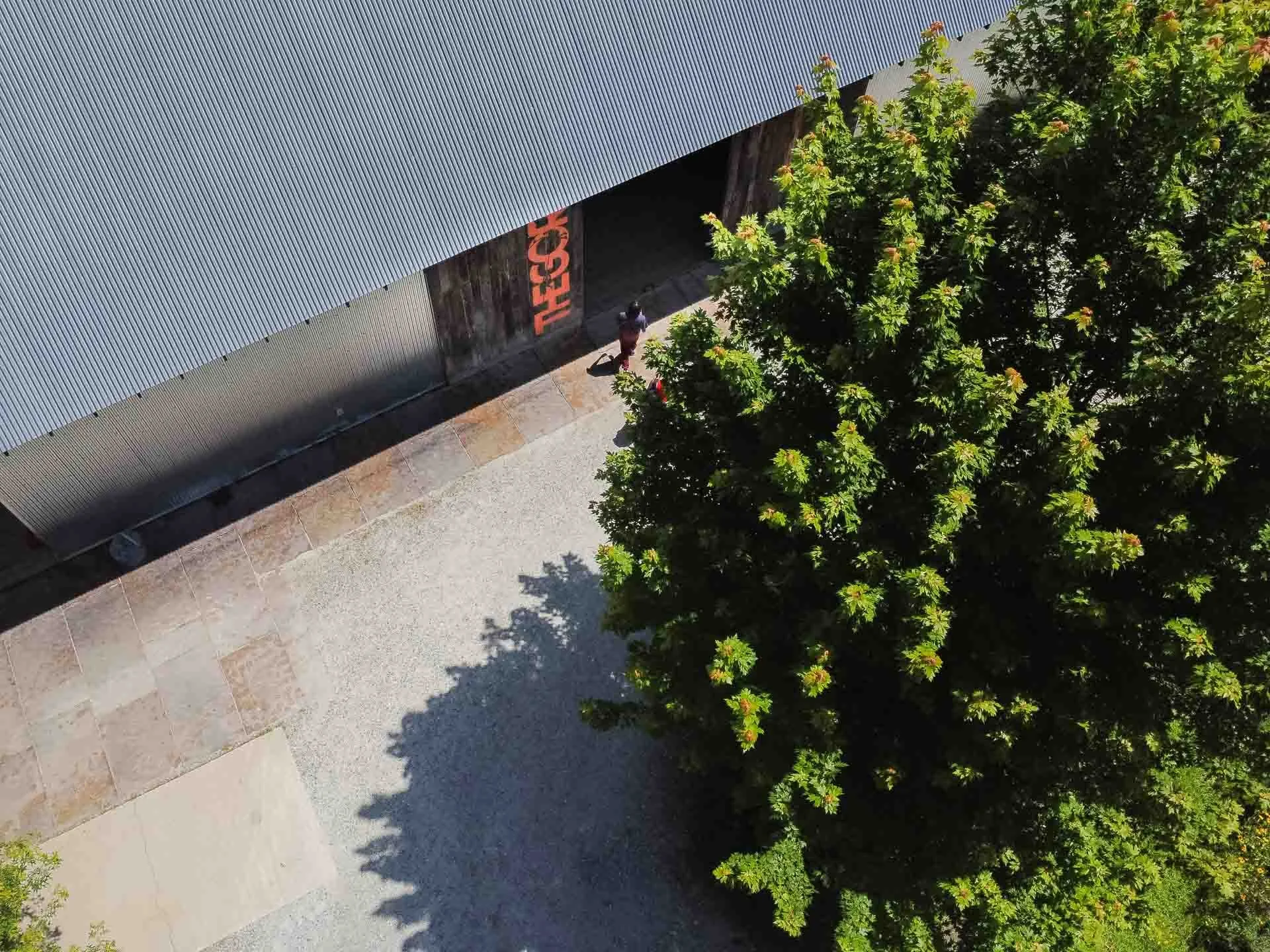 An aerial view of a person walking near a large green tree and a building with a metal roof, with the word 'THESE' visible on a sign.