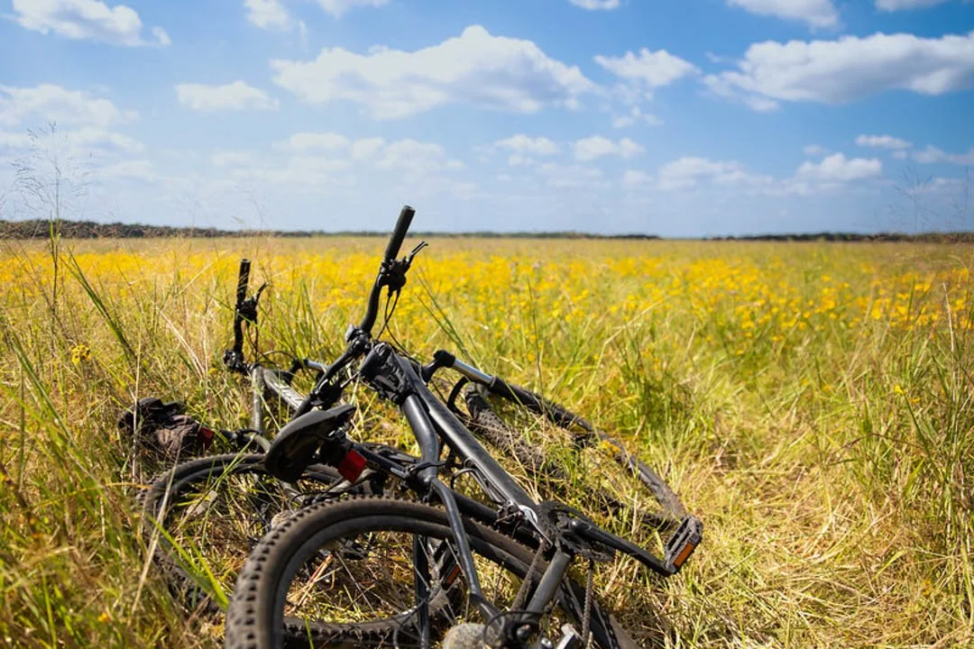Two mountain bikes lying on a grassy field with yellow wildflowers under a partly cloudy sky.