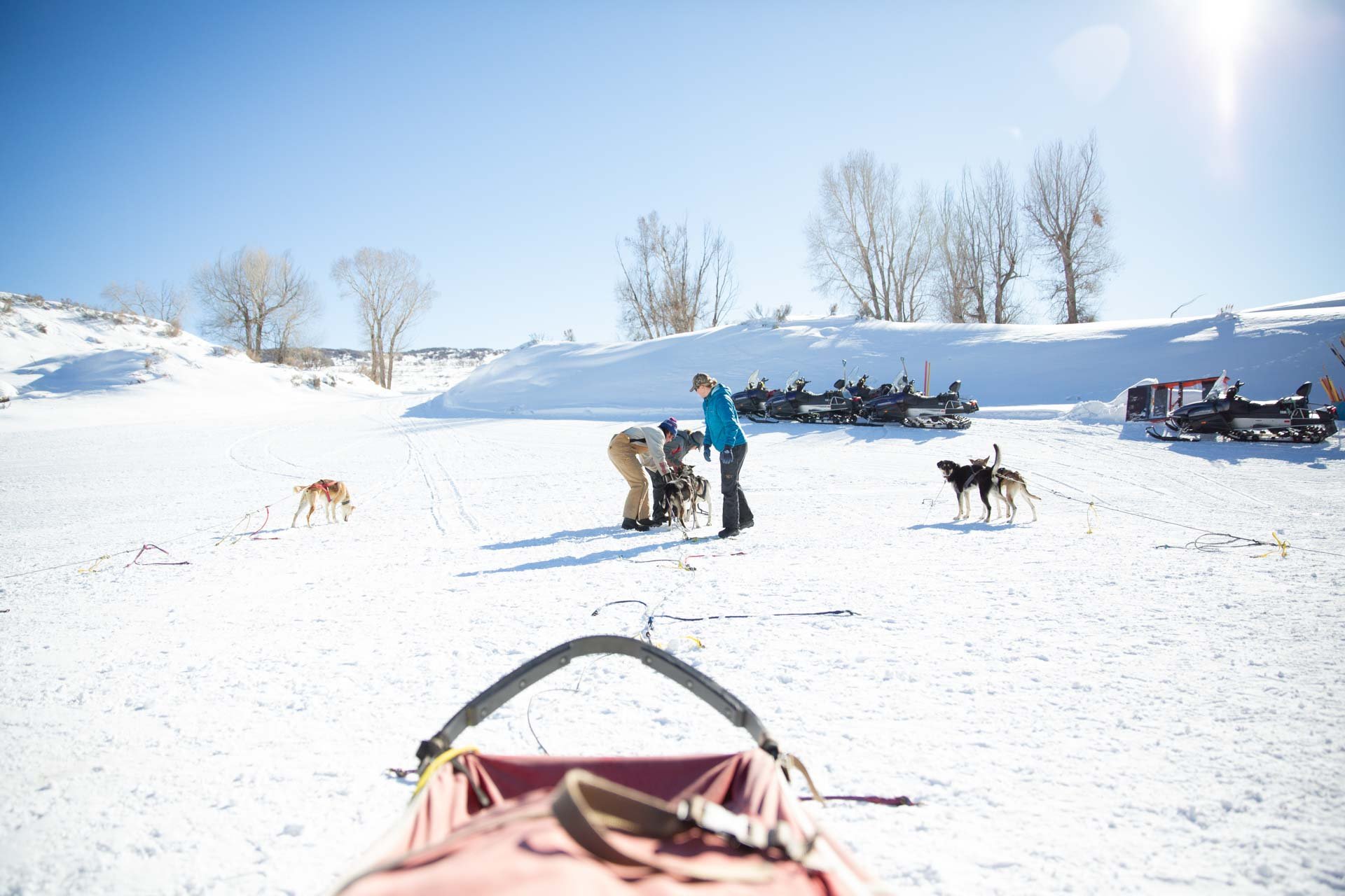 People preparing sled dogs for a ride in a snowy landscape with snowmobiles parked in the background.