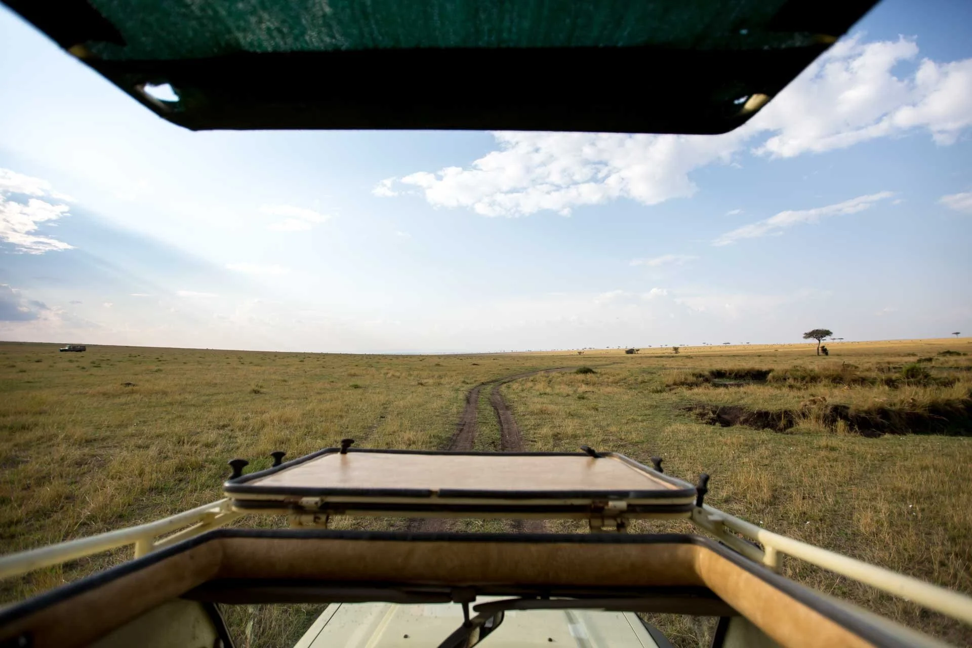 View from inside a safari vehicle showing two tracks of dirt road in a grassy plain with a few scattered trees under a blue sky with some clouds.