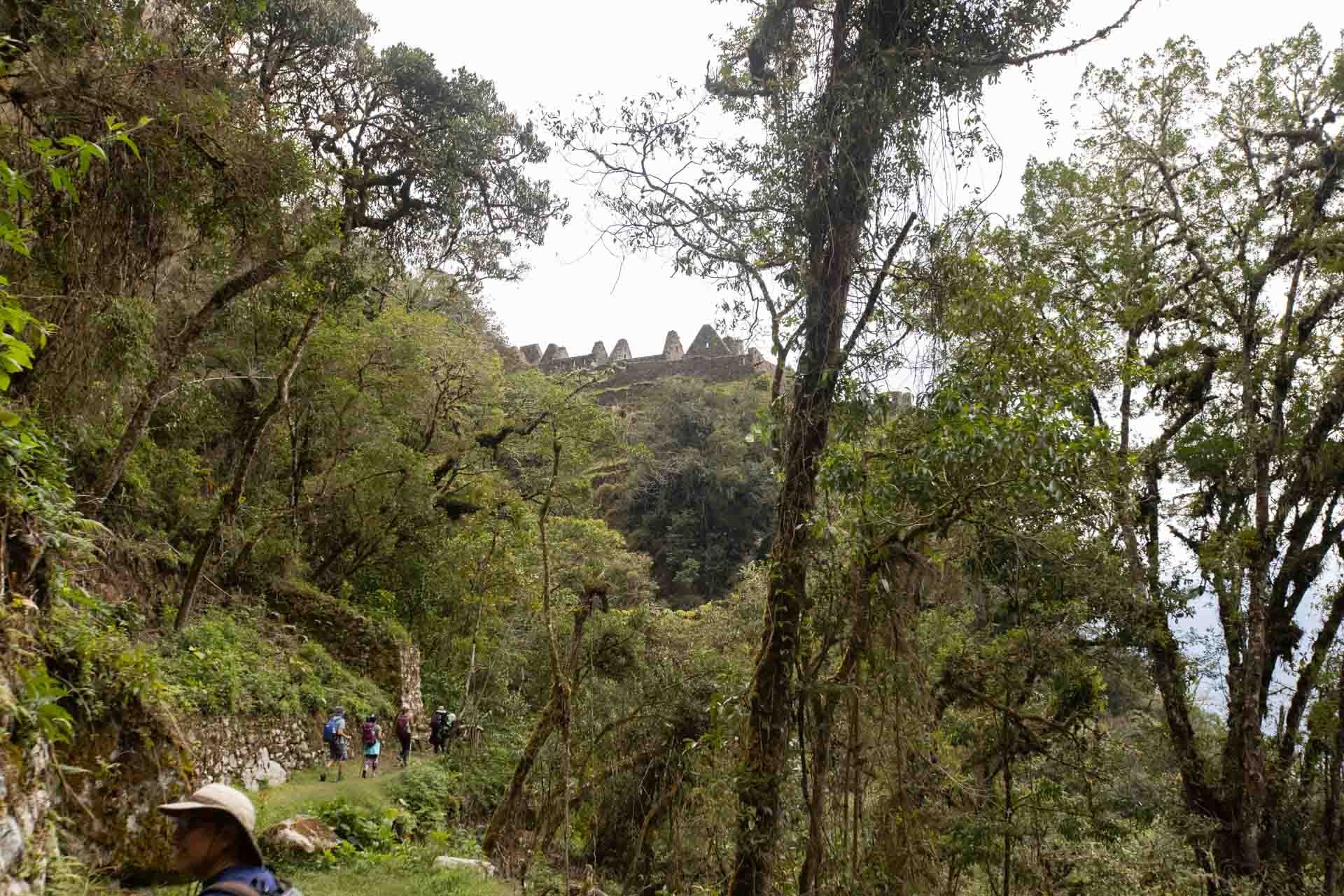 Hiking trail through a lush, dense forest with a group of hikers walking along a narrow path. In the background, ancient ruins or stone structures are visible atop a hill, partially obscured by trees.