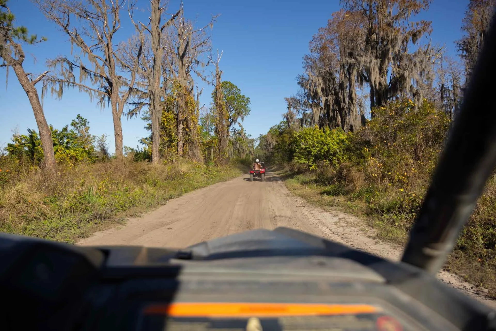 A dirt road through a wooded area with trees and bushes on both sides. A person riding an ATV is visible ahead, wearing a white helmet, in a red and black outfit, on a sunny day with clear blue sky.
