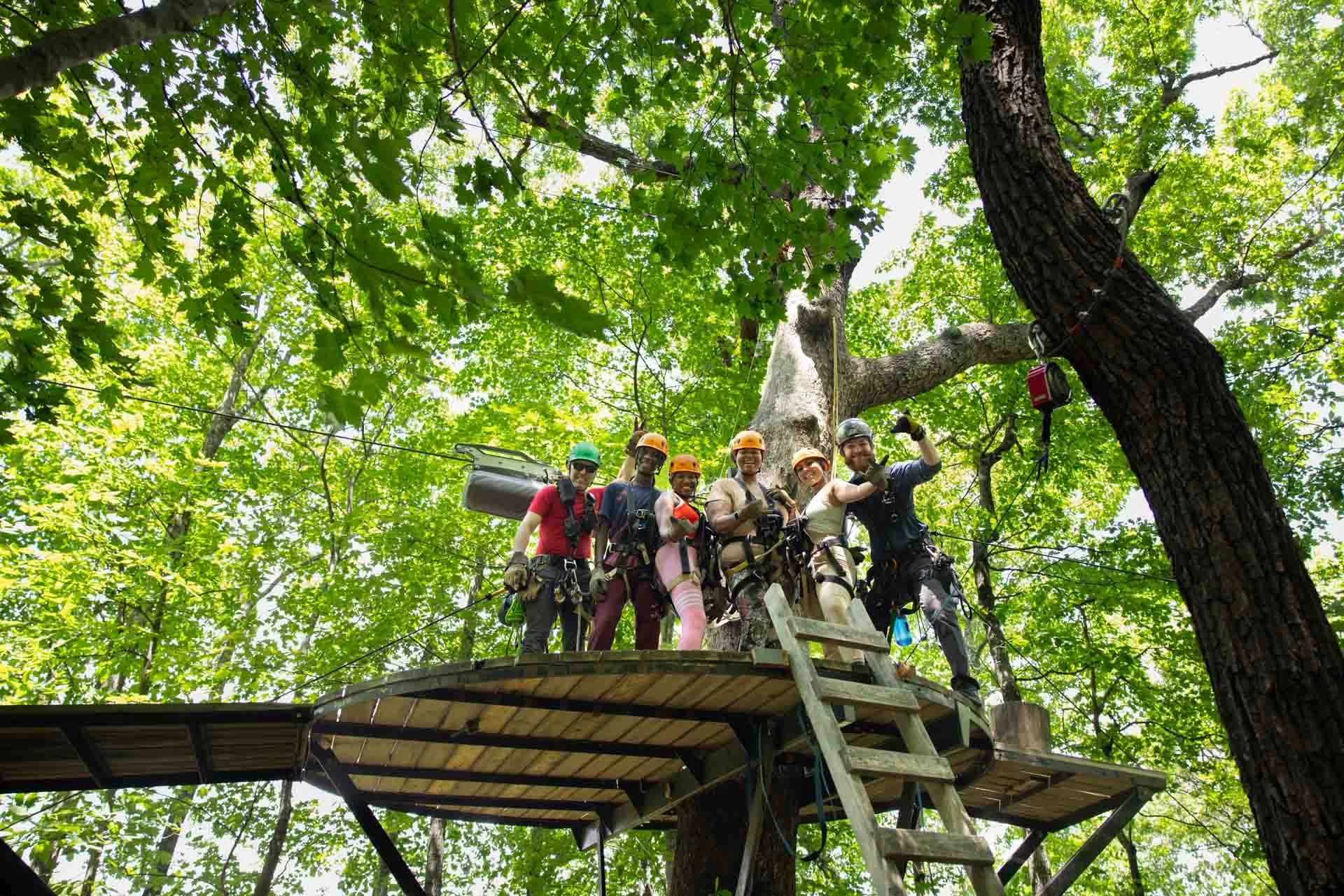 Group of six people standing on a tree platform, wearing helmets and harnesses, surrounded by green leafy trees, in an outdoor adventure or ziplining activity.