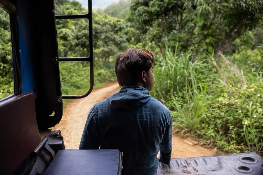 A person with short brown hair sitting on an open window of a train, looking at lush green trees and plants outside on a dirt path.
