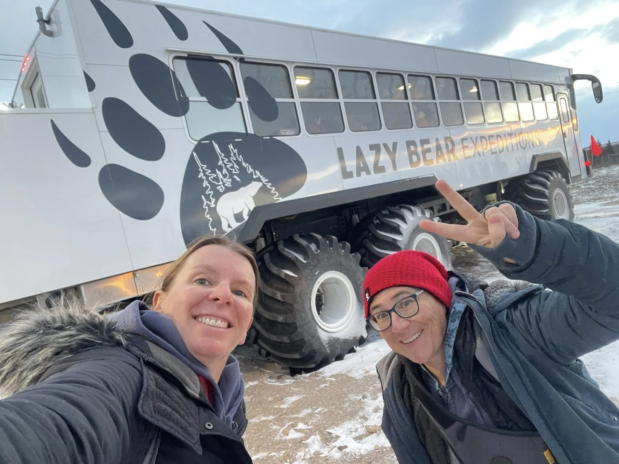 polar-bear-bus-selfie.jpg