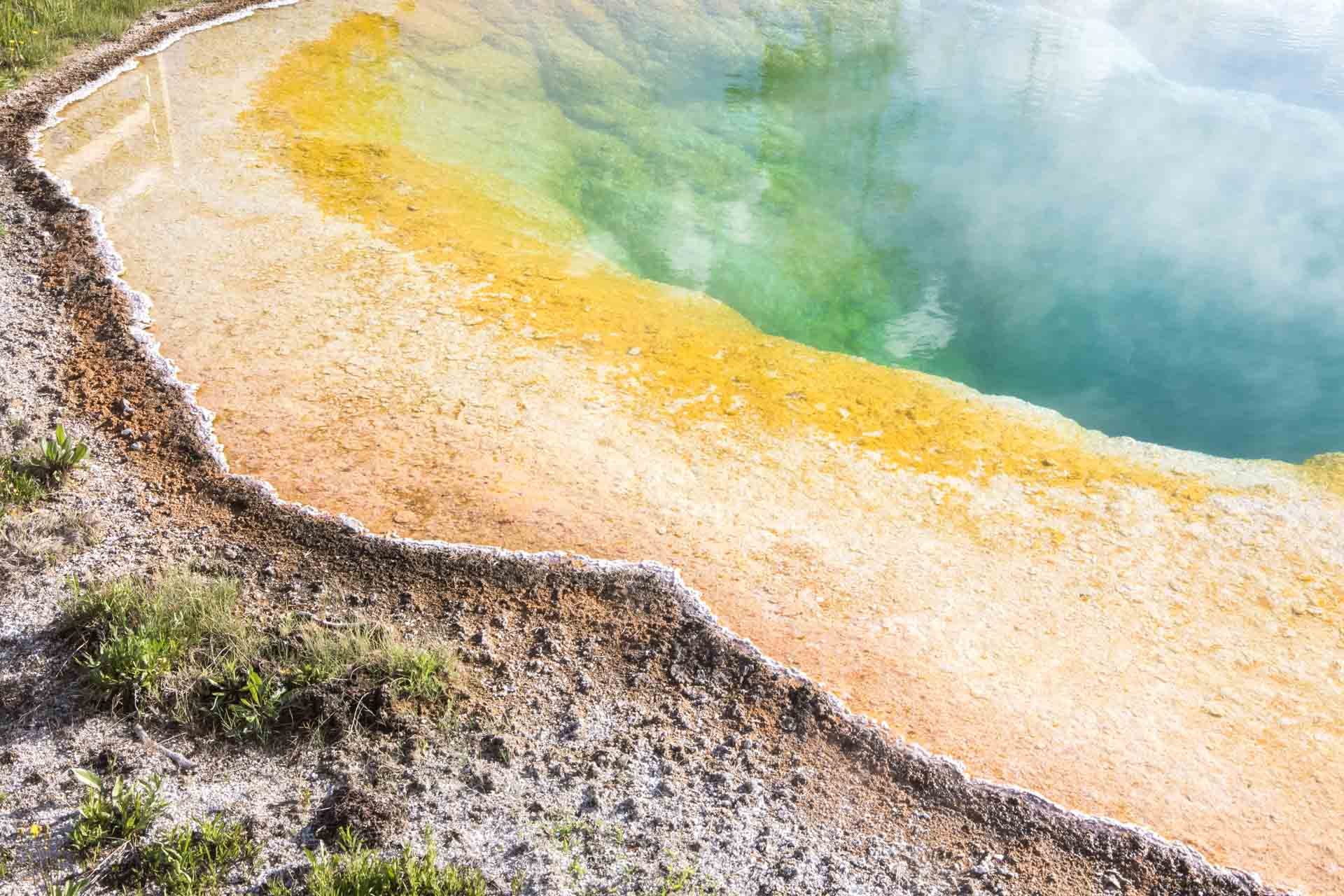 atpc-yellowstone-1.jpg