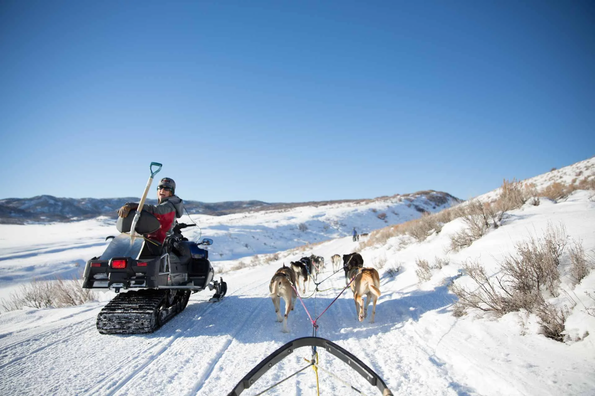 grizzle-t-colorado-dog-sledding-7.jpg
