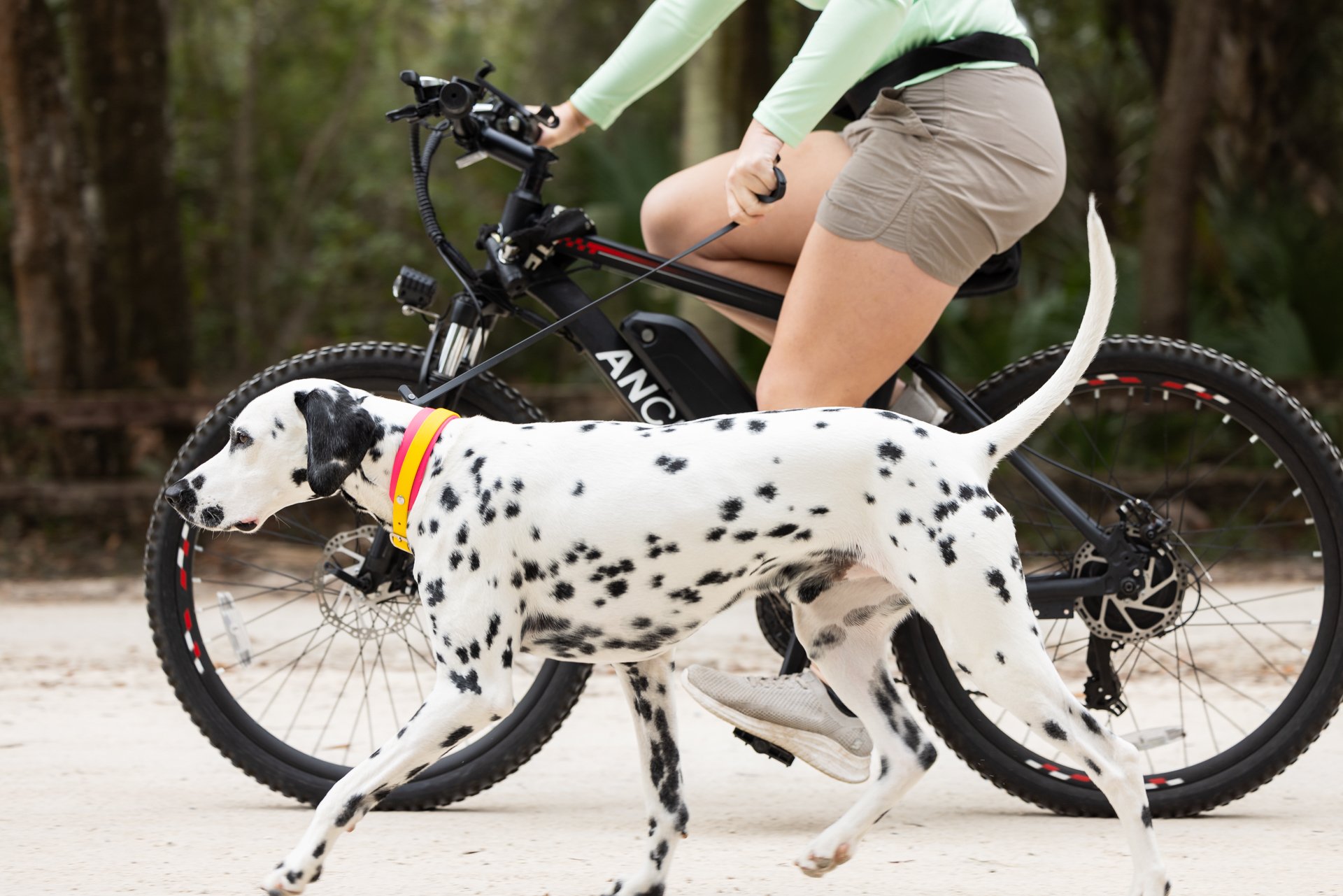 seminole-state-forest-biking-dogs-lifestyle-5.jpg