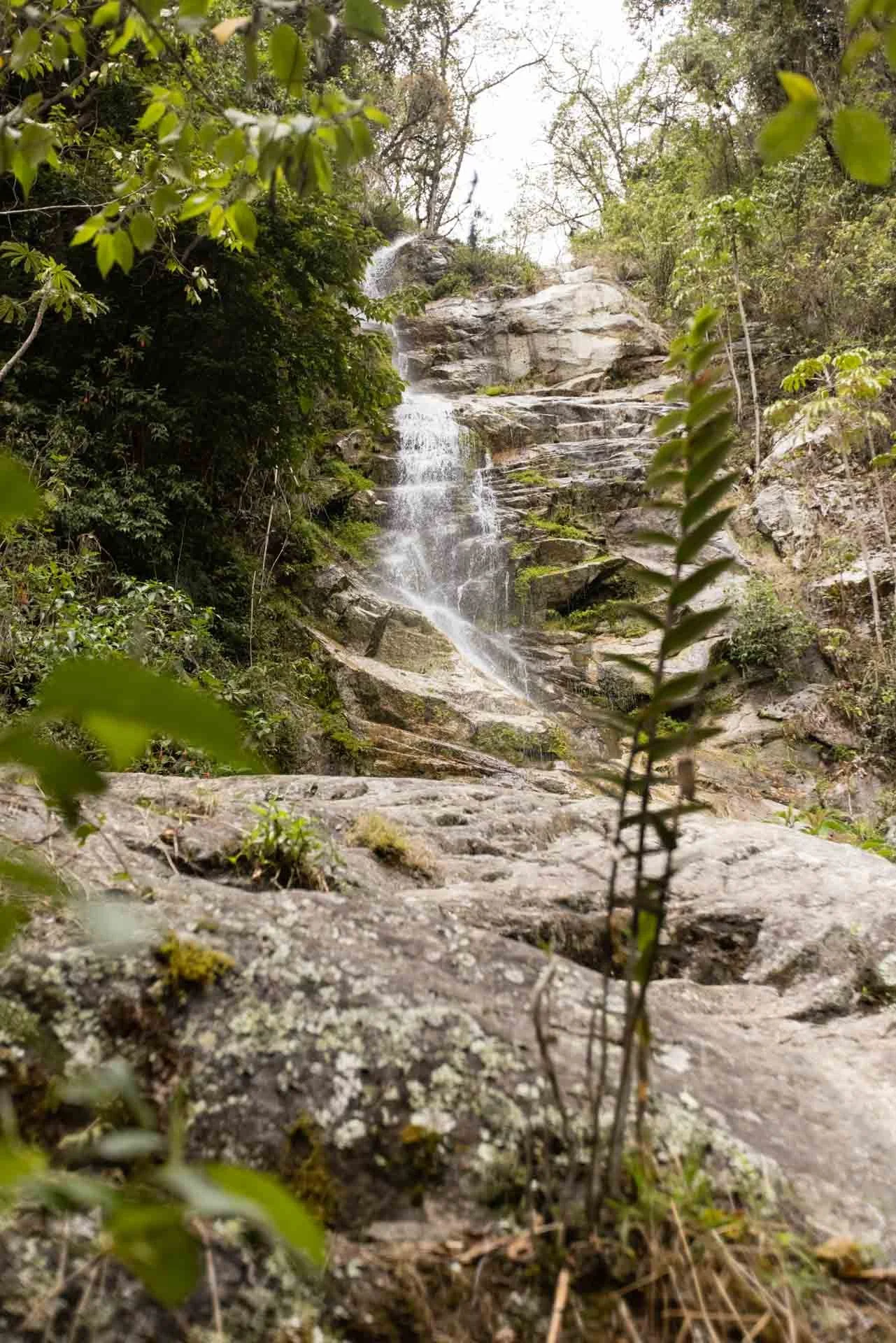 A small waterfall flowing over a rocky slope surrounded by green foliage and trees.