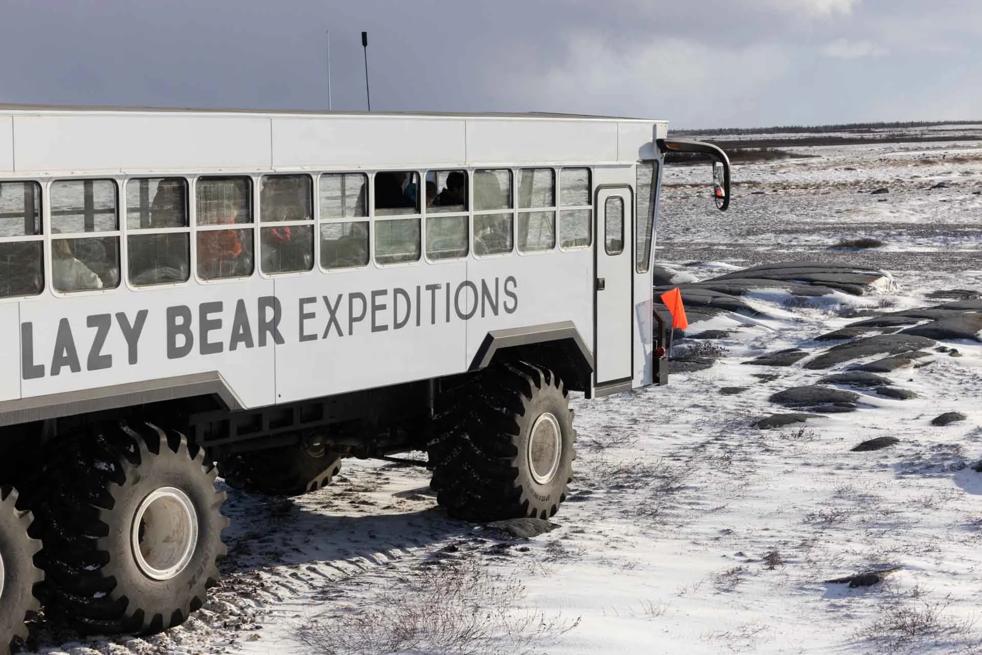 A white off-road expedition vehicle with large tires and the words 'Lazy Bear Expeditions' on the side, parked on snowy terrain with whale carcasses nearby.