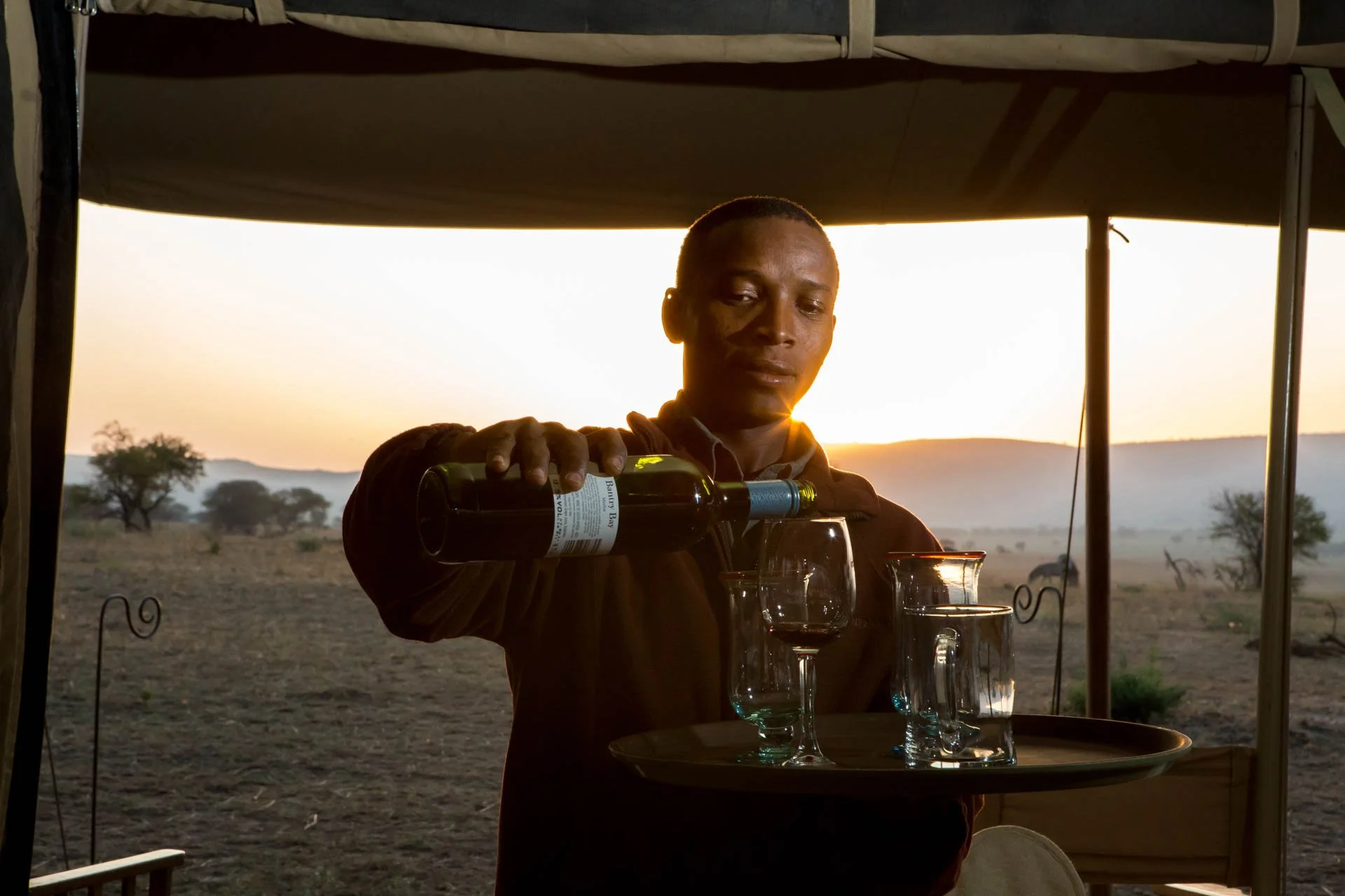 A person serving wine from a bottle into glasses on a tray outdoors at sunset, with a savanna landscape and trees in the background.