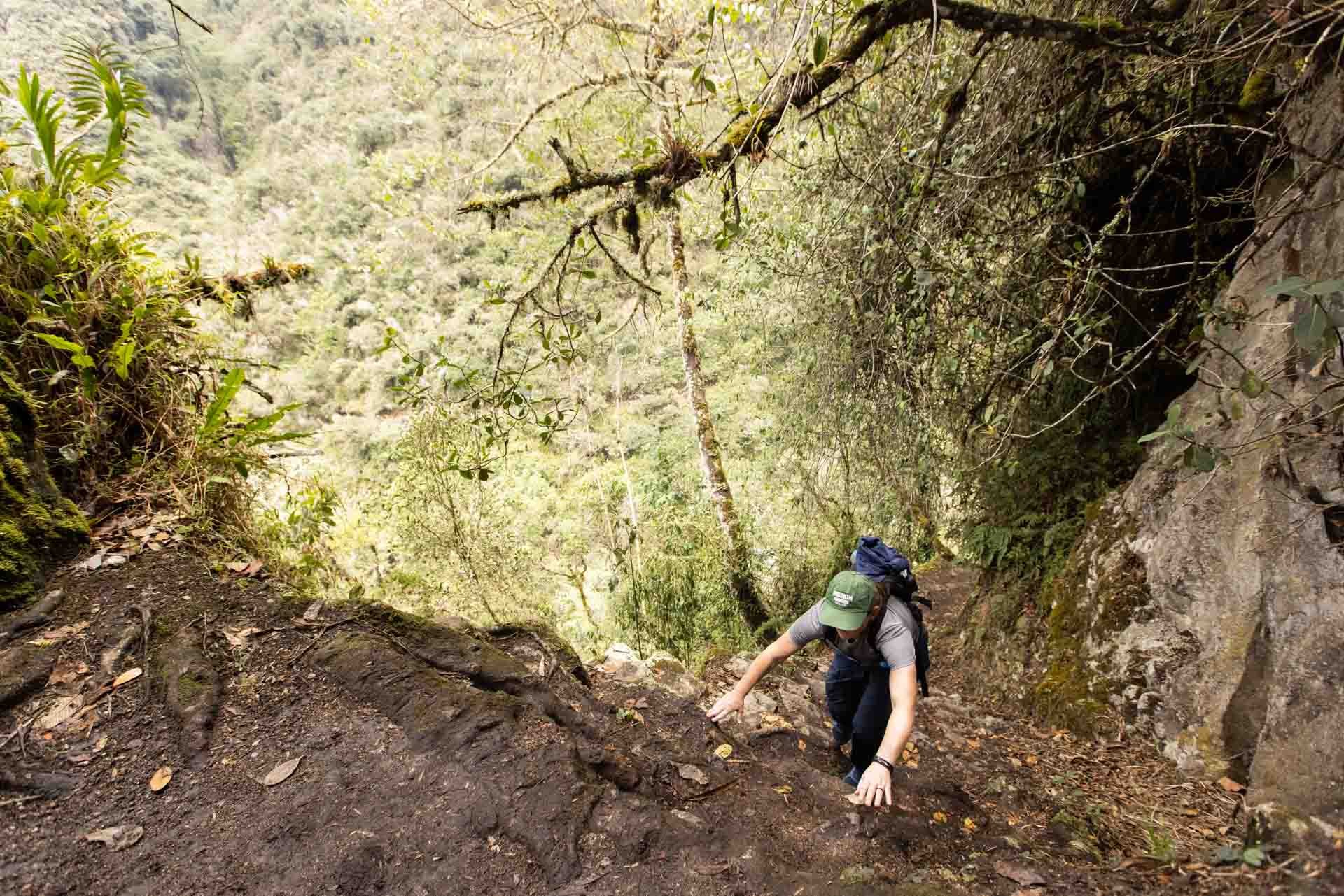 A person hiking up a steep dirt trail on a mountain or forested hillside, surrounded by dense greenery and rocky terrain.