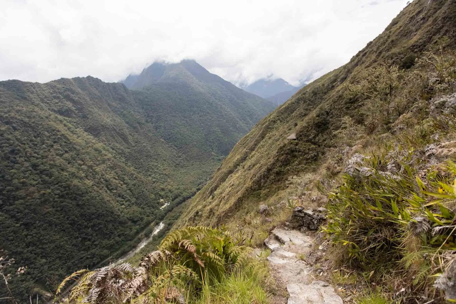 A narrow mountain trail with rocky steps runs along the edge of a steep hillside covered in green vegetation. The background shows a deep valley with dense forest and distant mountain peaks shrouded in clouds.