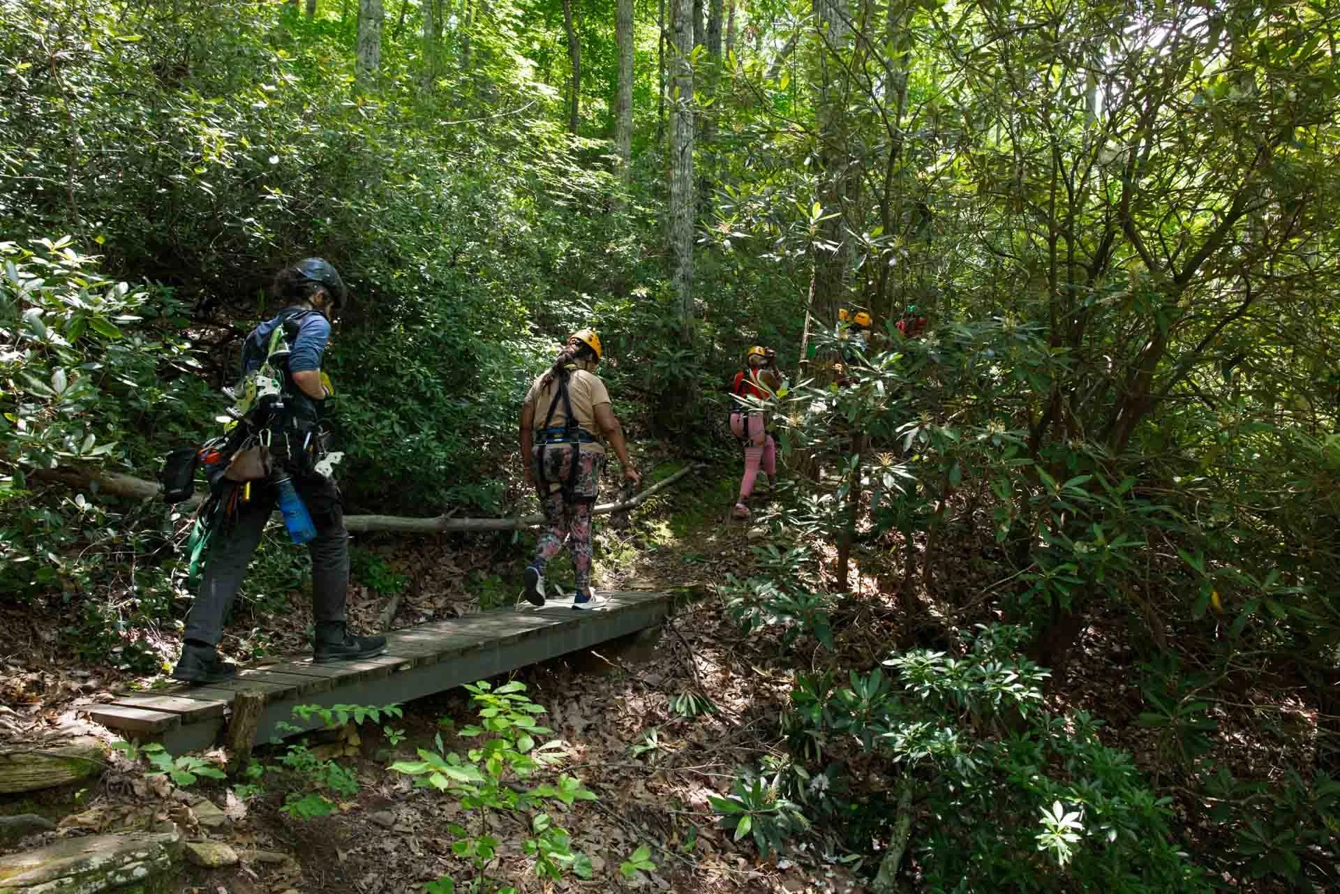 Four women hiking on a narrow wooden trail through dense green forest, wearing helmets and outdoor gear.