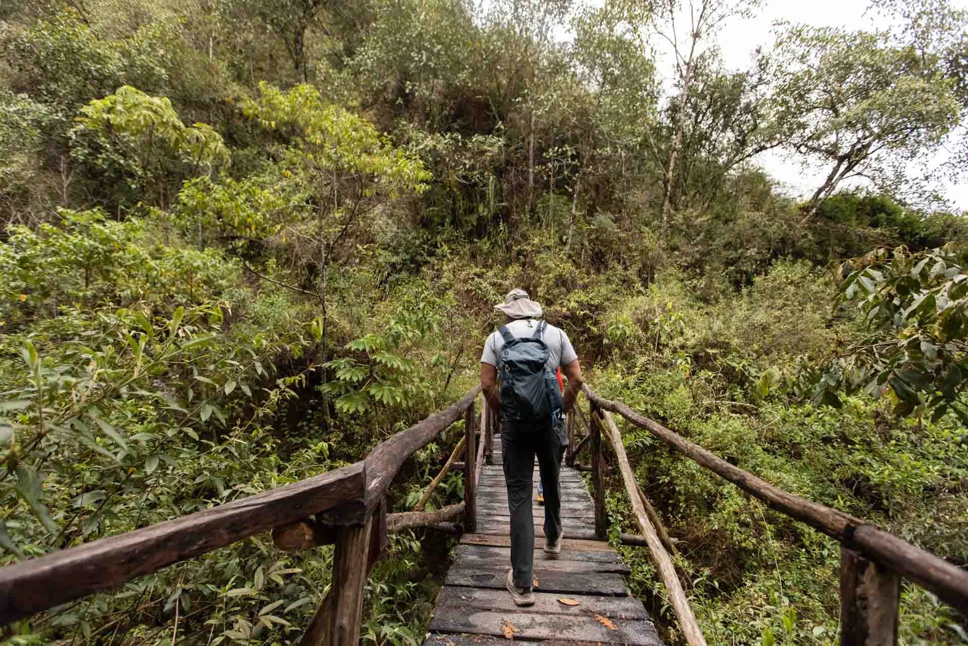 Person hiking on a wooden trail surrounded by lush green forest.