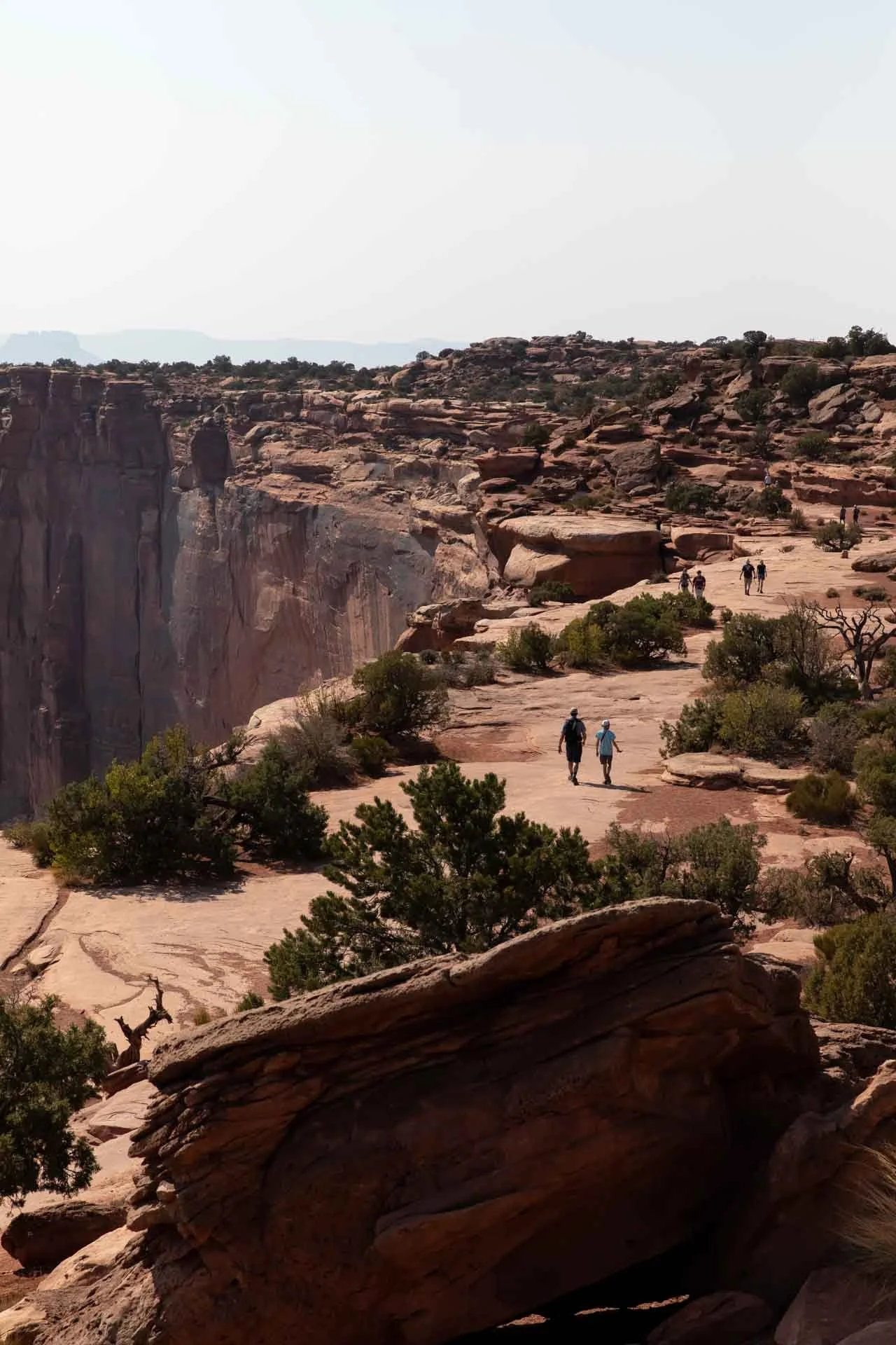 Hikers walking along a rocky trail in a desert canyon landscape with red rock formations and sparse vegetation.