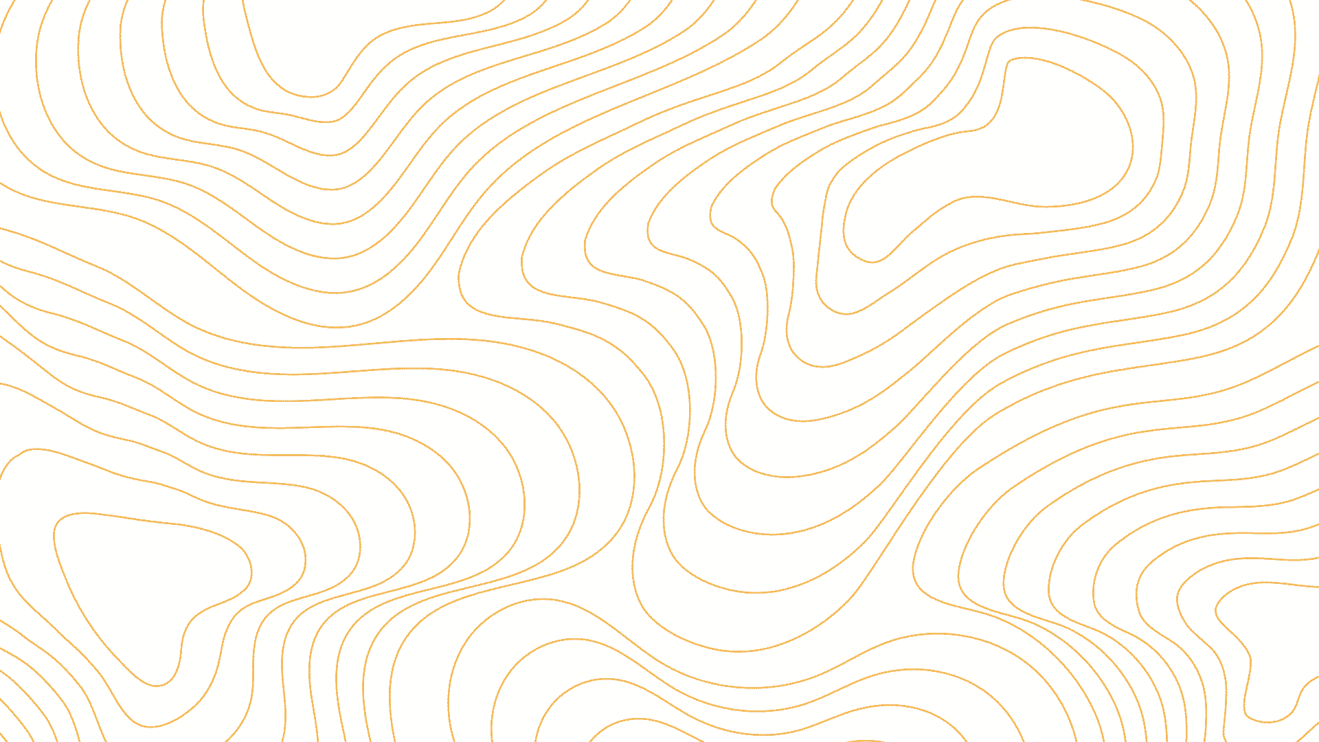 White background with orange contour lines forming a topographic map pattern