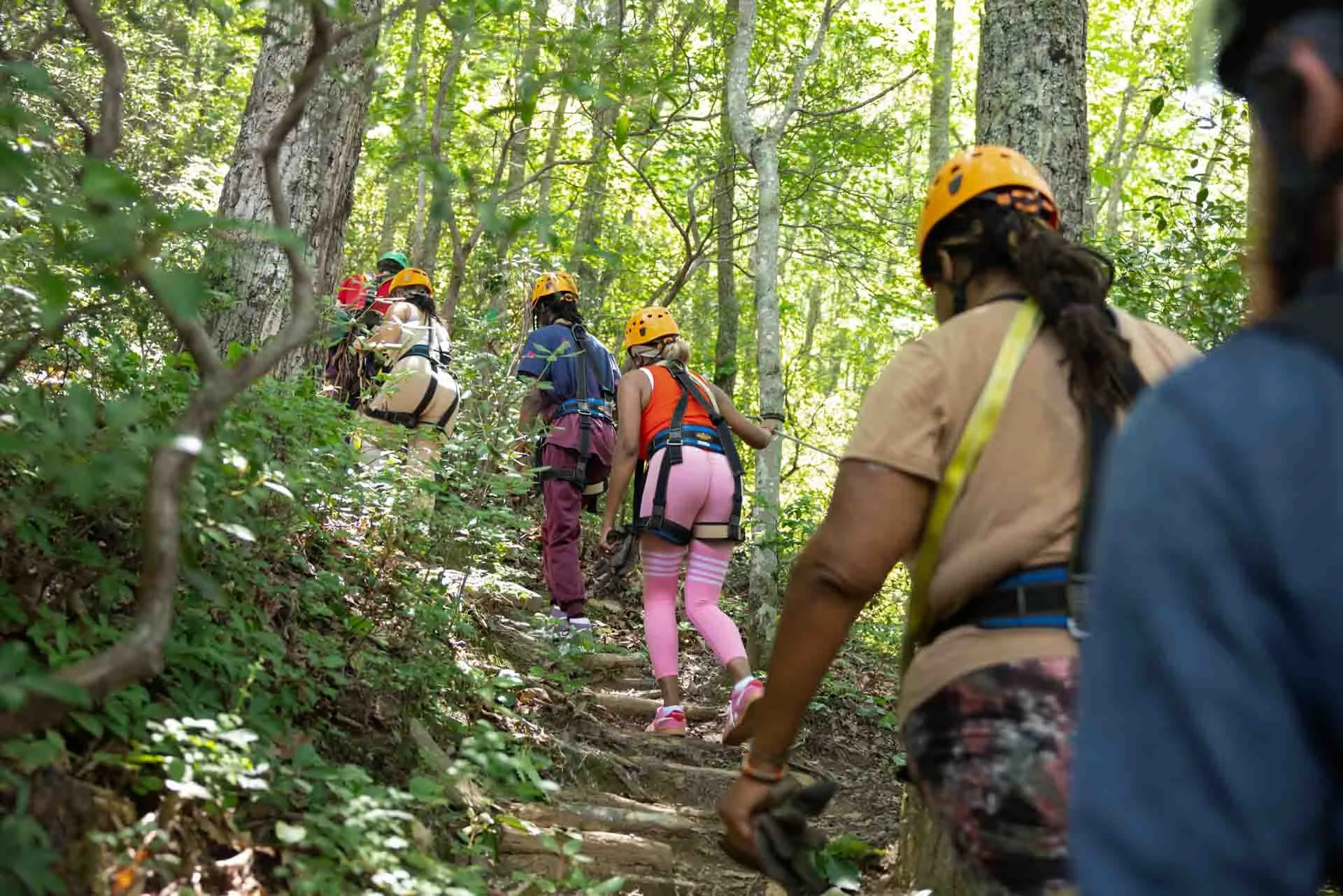 Group of people hiking through a lush green forest on a narrow trail, wearing helmets and carrying backpacks.