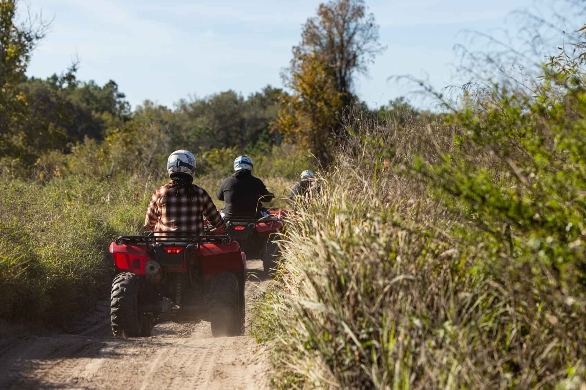 Three people riding ATVs on a dirt trail surrounded by tall grass and trees during daytime.