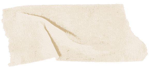 Close-up view of a rock with a cream-colored, irregular-shaped crack or vein.