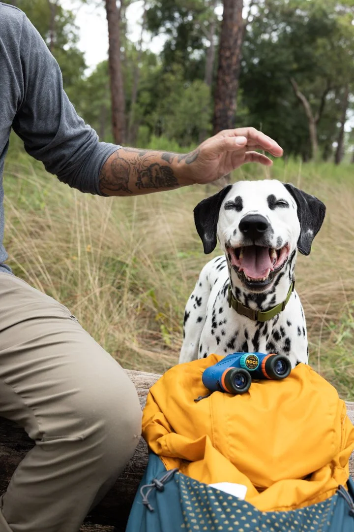 A person sitting outdoors with a happy Dalmatian dog. The person is wearing a gray shirt and khaki pants, with a tattooed arm. The dog has a big smile, black spots on white fur, and wears a collar. In front of them is a yellow backpack with a pair of