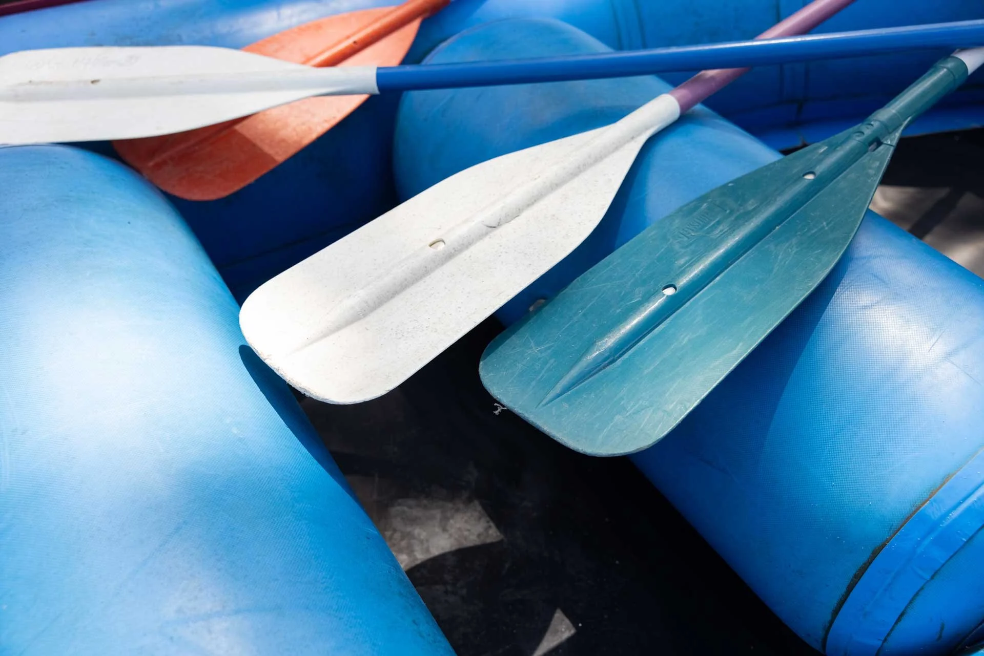 Close-up of three paddles resting on blue plastic barrels, with one being white, another blue, and one partially visible purple.