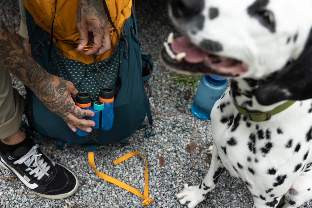 A person with tattoos holding a small blue binoculars and a yellow whistle, standing next to a Dalmatian dog on a gravel surface, with a water bottle nearby.