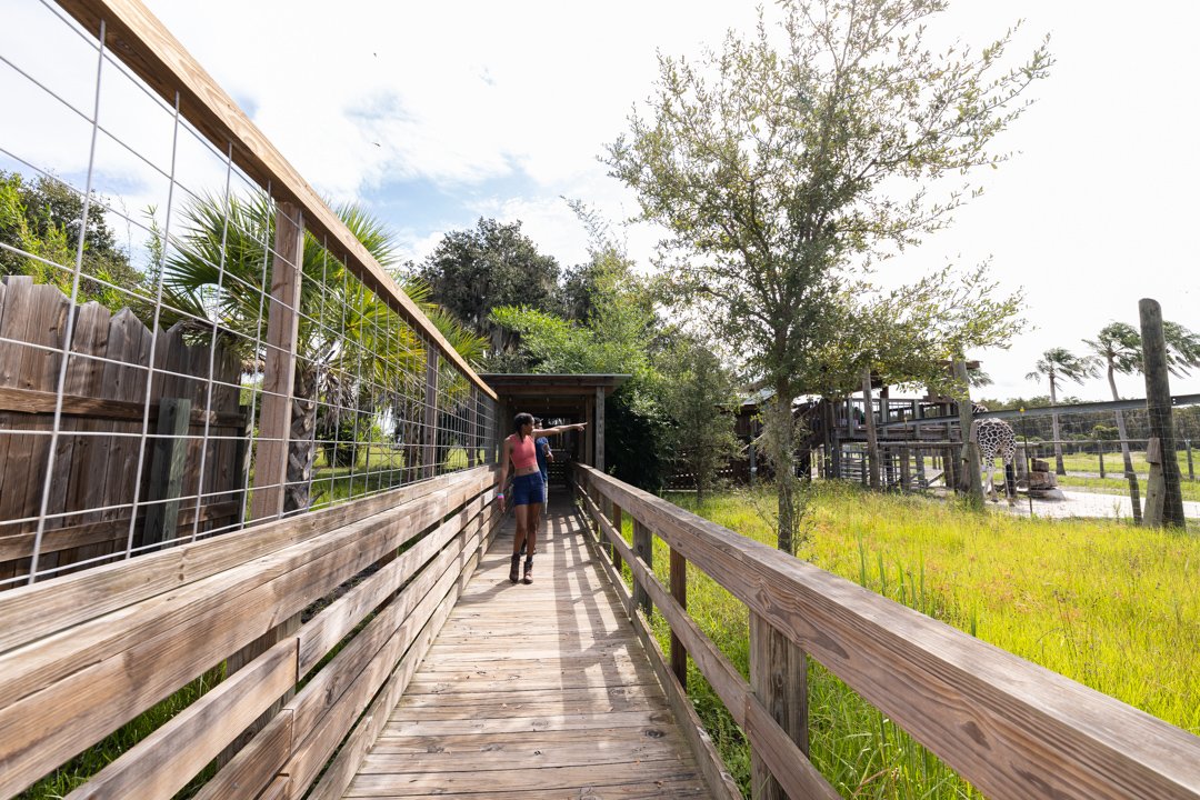 WILD-Florida-lifestyle-10.jpg