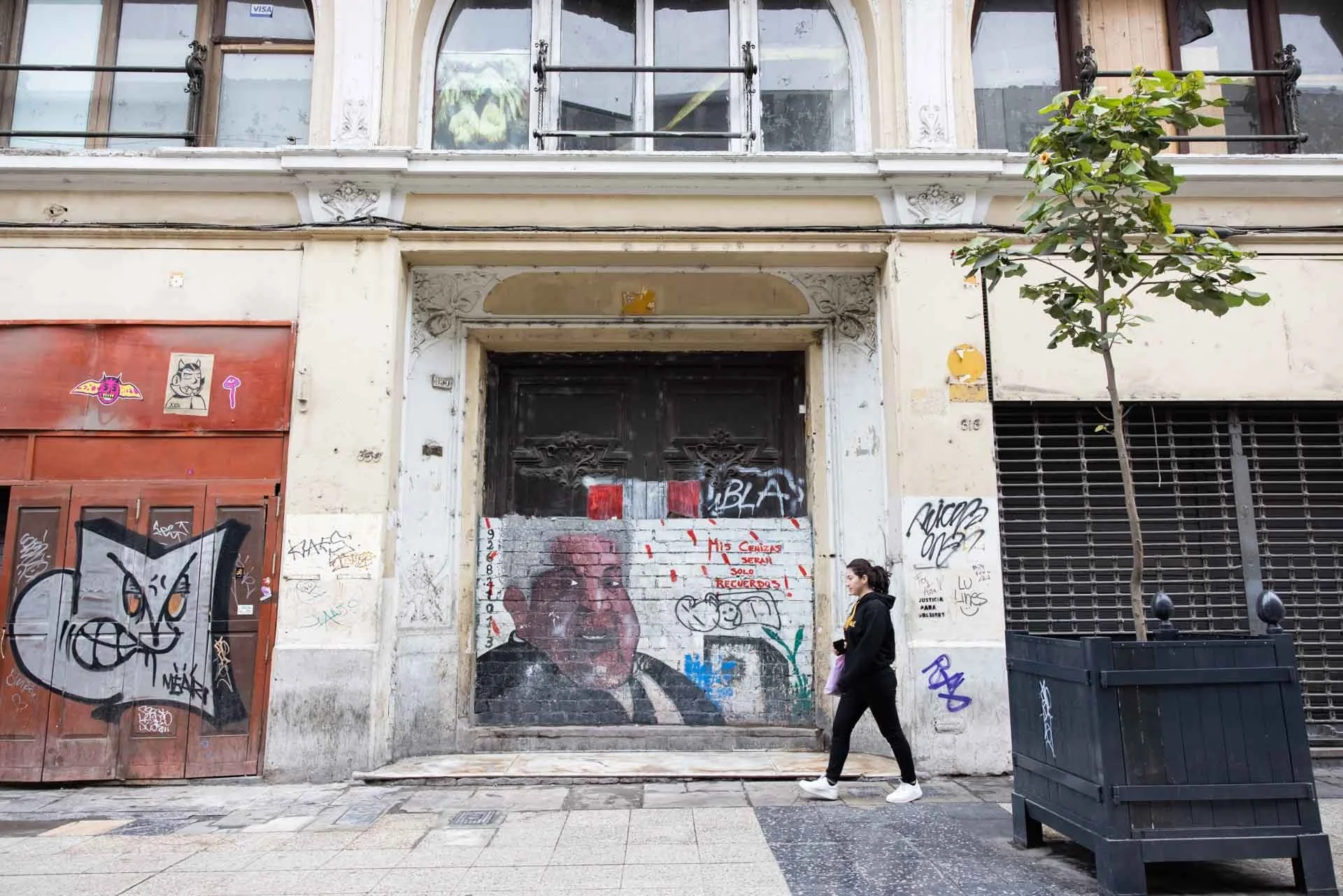 A woman walking on a sidewalk beside a building with graffiti and street art, including a large portrait of a man, near a small tree in a planter.