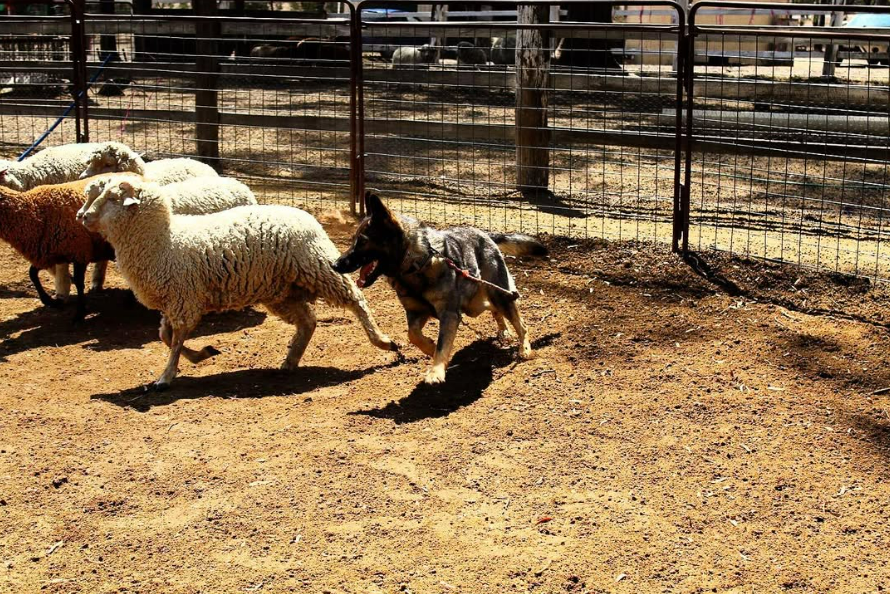 Untitled picture`.png