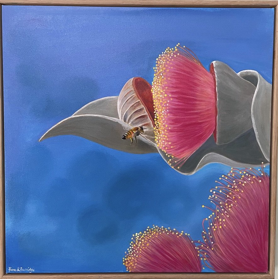 Bee on Gumnut
Oils on canvas
600x600mm SOLD