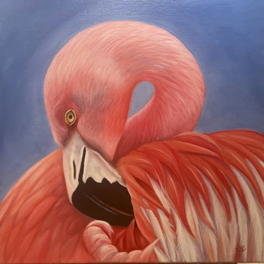 Flamingo: Oils on Canvas 400x400mm