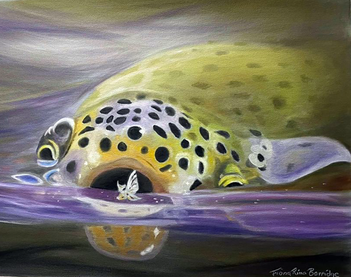 Fresh Water Trout
Pan pastels on CF Pastel Mat
297x420mm SOLD