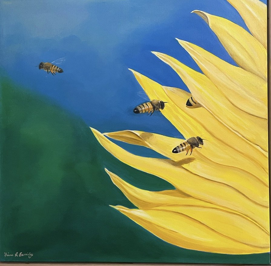 Busy Bees
Oils on Canvas
600x600mm SOLD